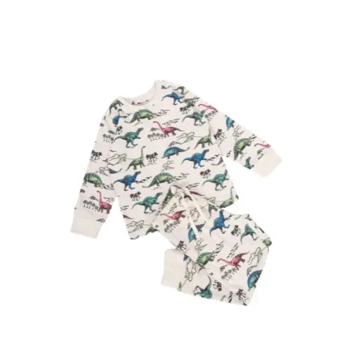 Junibear Dino Co-ords Set Junibear